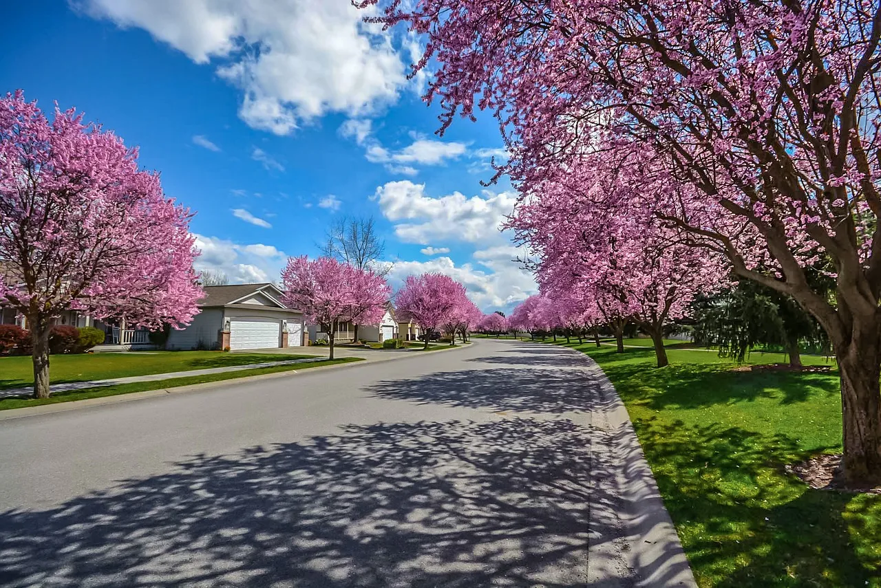 neighborhood2486077_1280.jpg