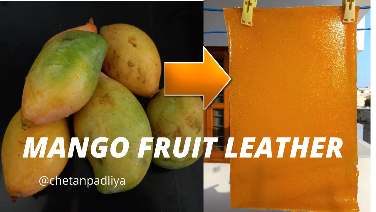mngo_fruit_leather.png