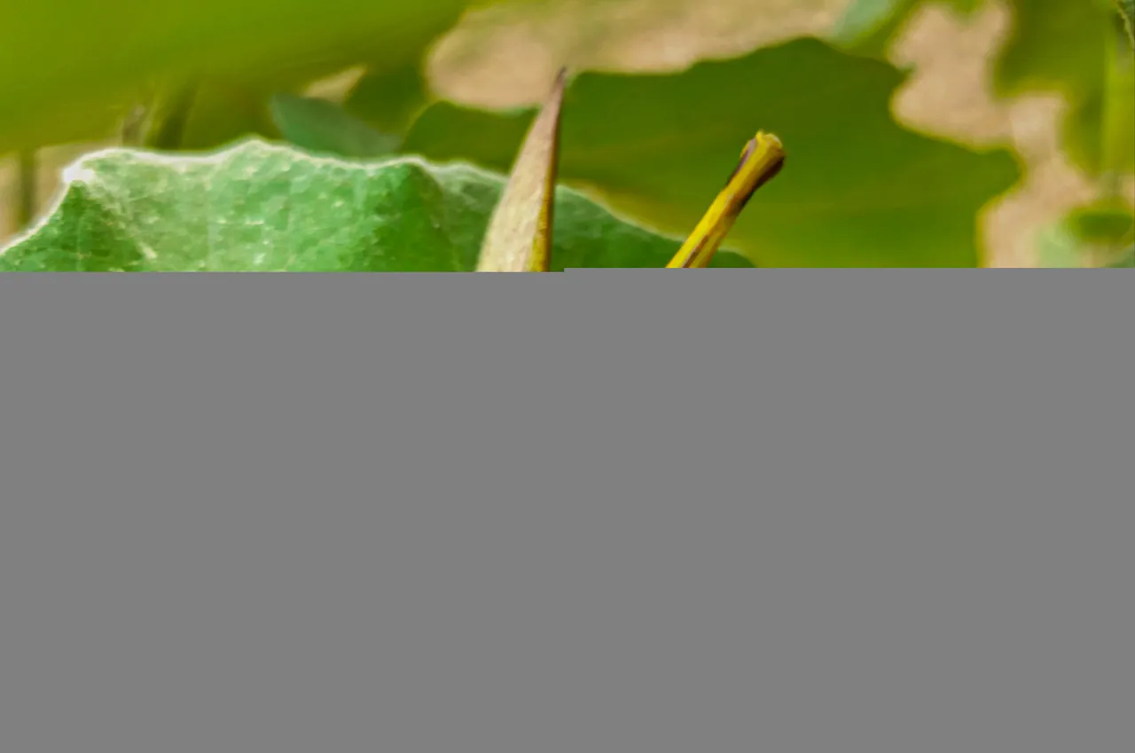 IMG_20220116_173729.jpg