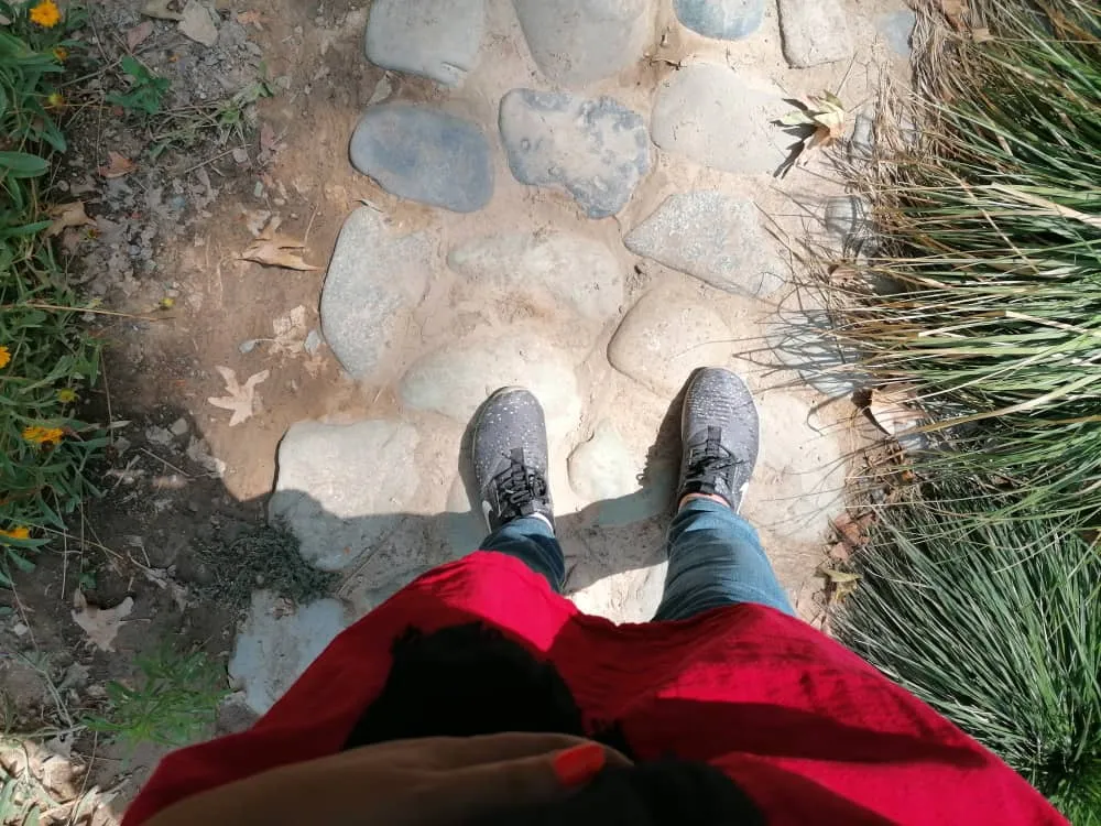 park9873284 (25).jpeg
