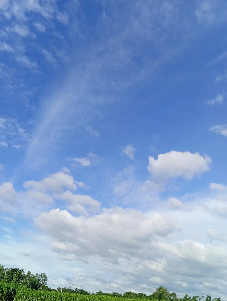 IMG_20250725_165334.jpg