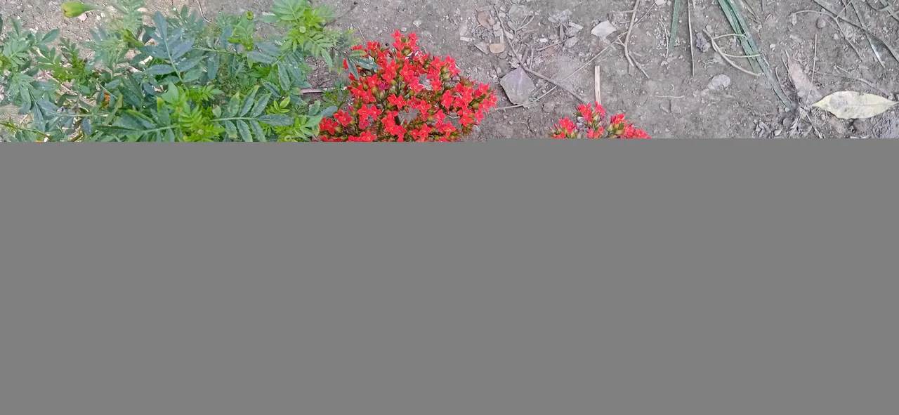 IMG_20220212_155315.jpg