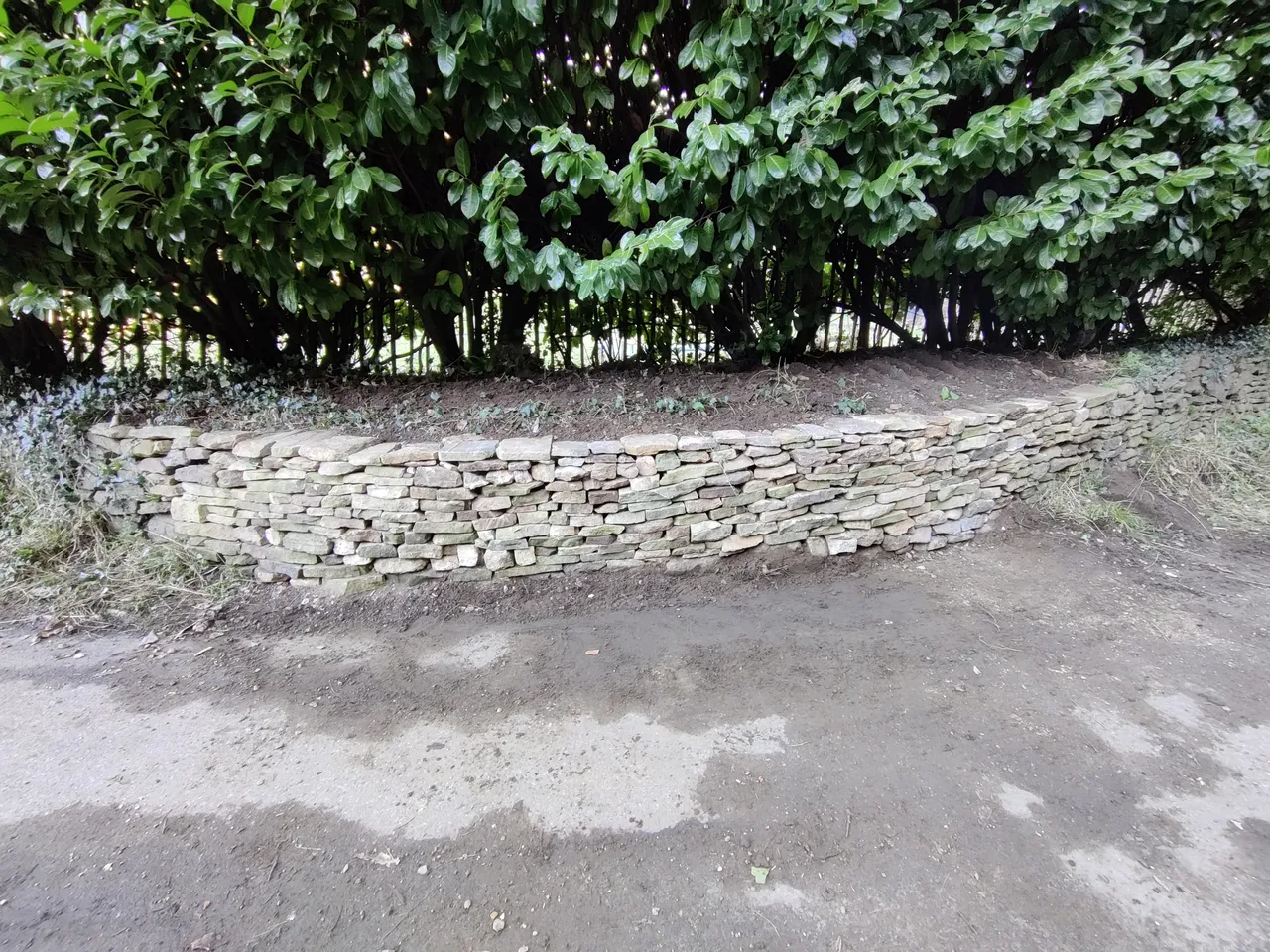 IMG_20210226_153104.jpg