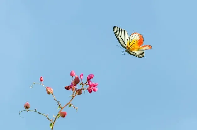 MARIPOSA Y FLOR.jpg