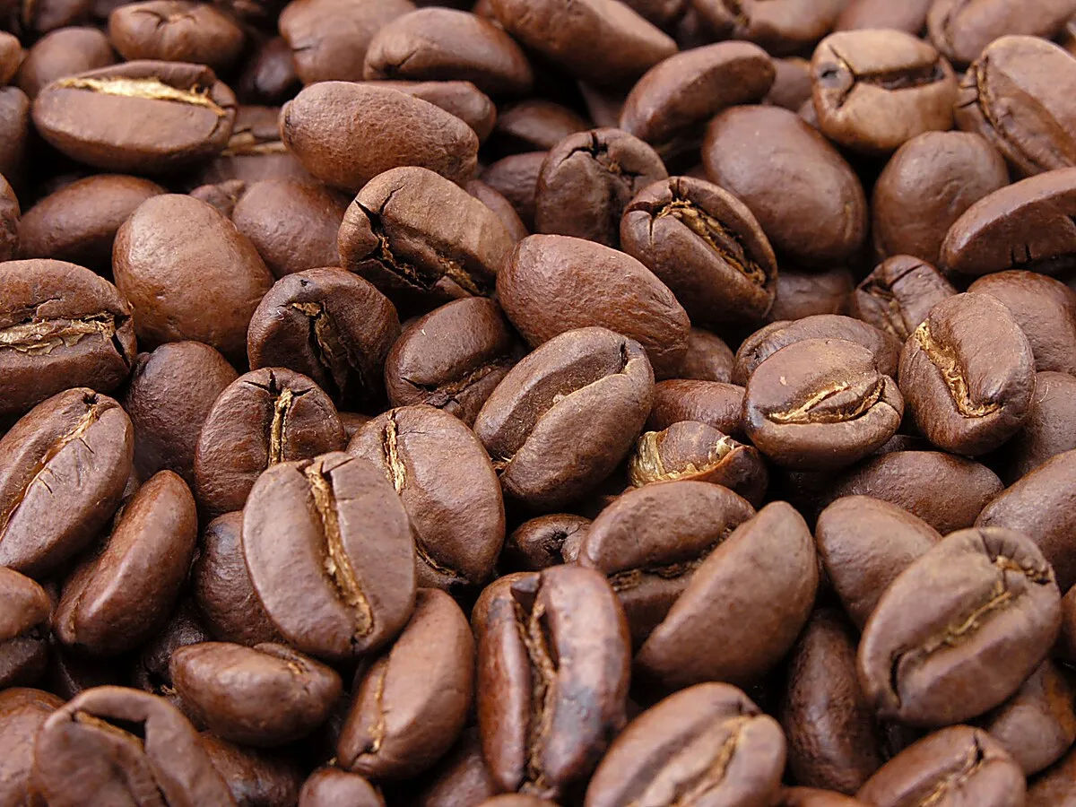 Cafe Coffee Jitters-review-photo-by-shaktimaaan-image-2