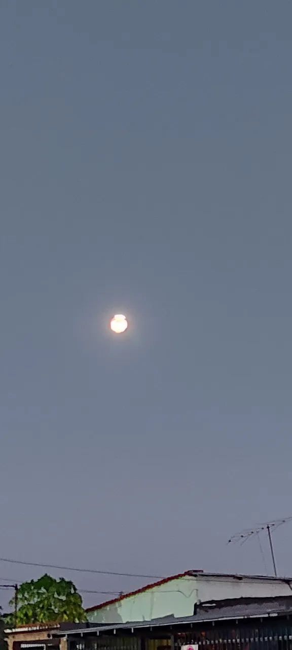 IMG_20250112_185943.jpg