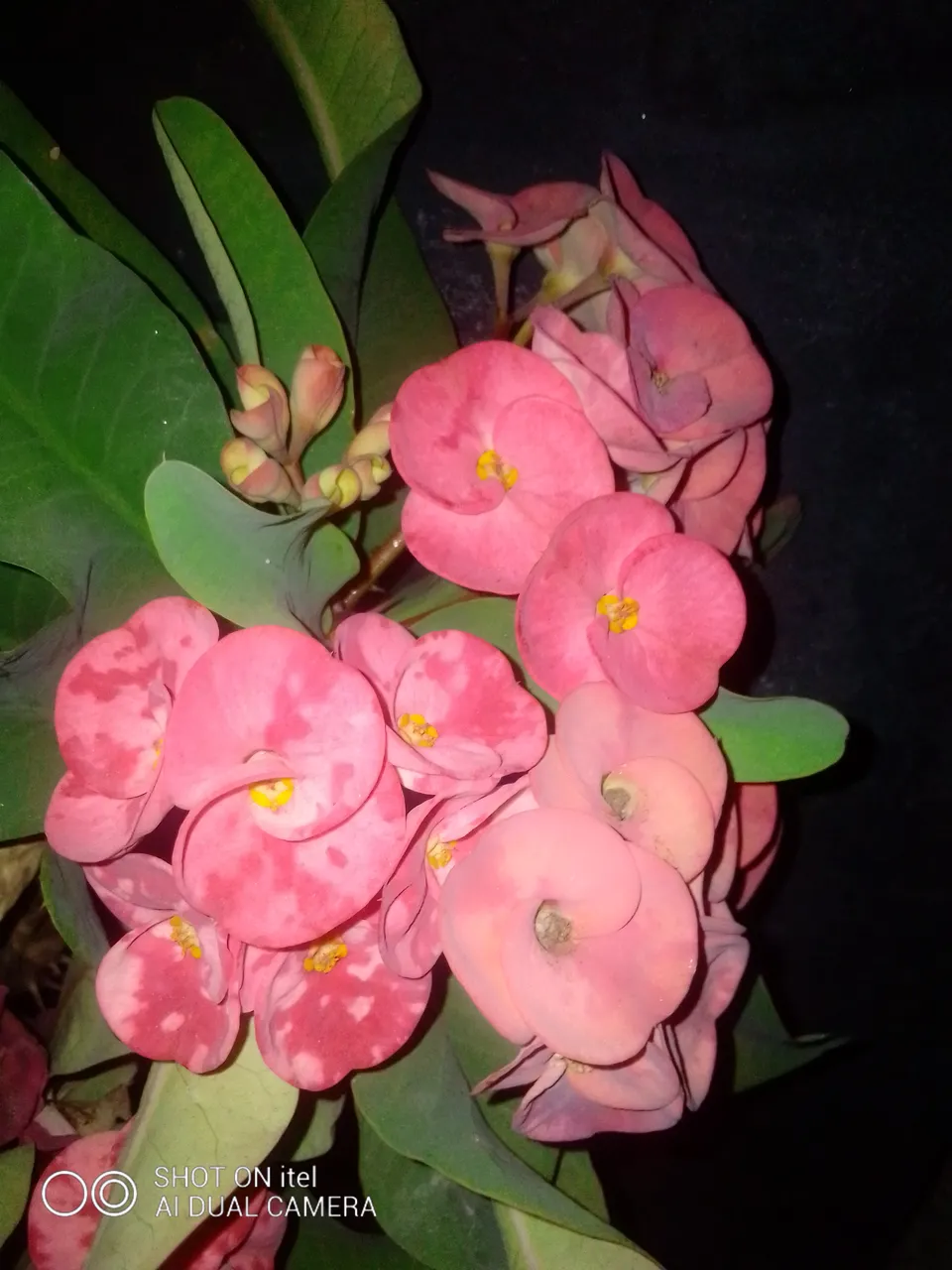 IMG_20211201_210805.jpg
