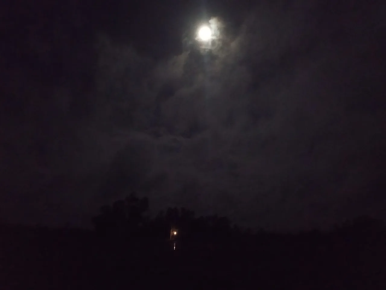 IMG_20200705_012058.jpg