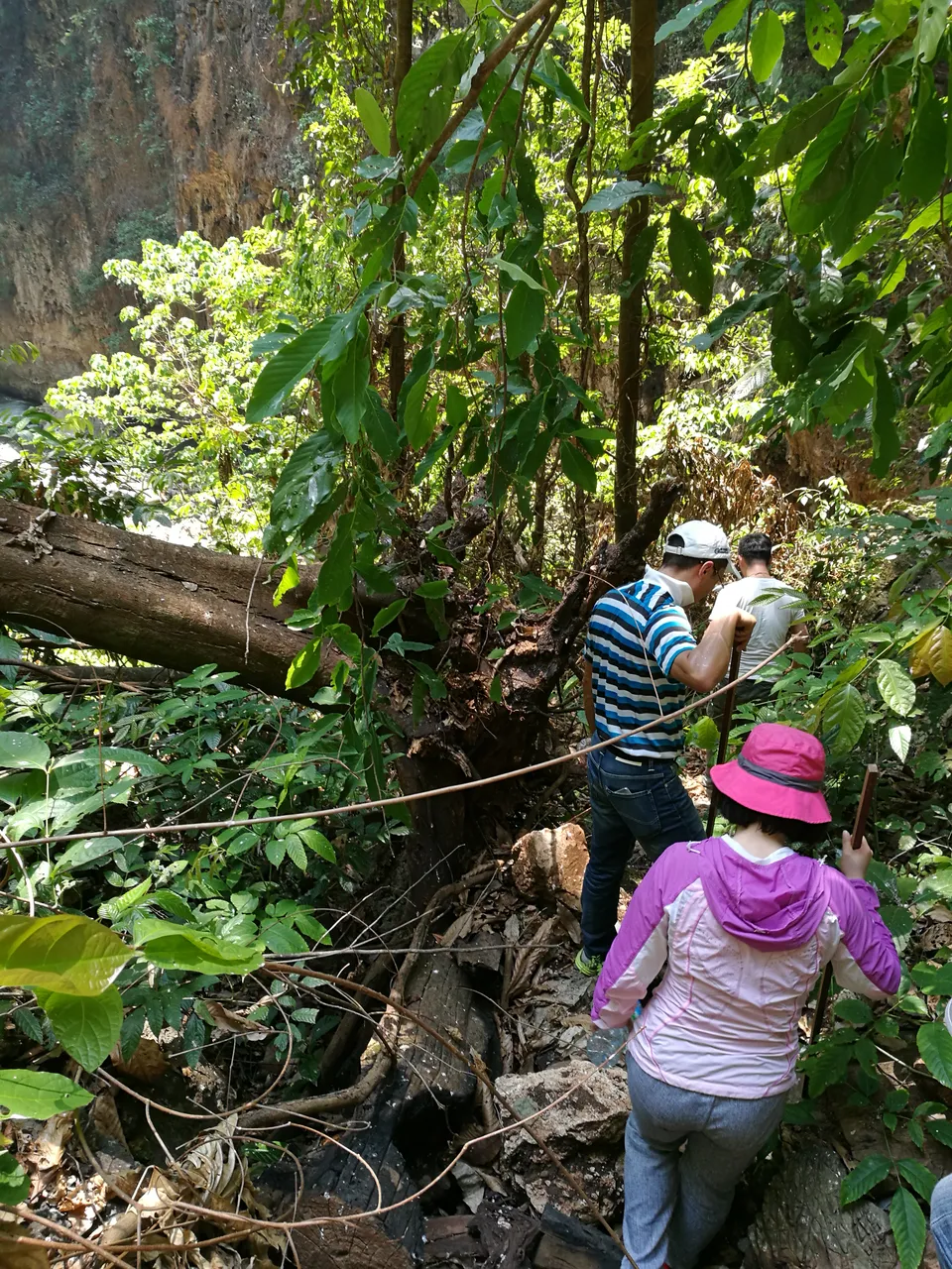 IMG_20160508_103758.jpg