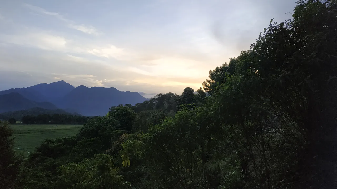 IMG_20230708_063746.jpg