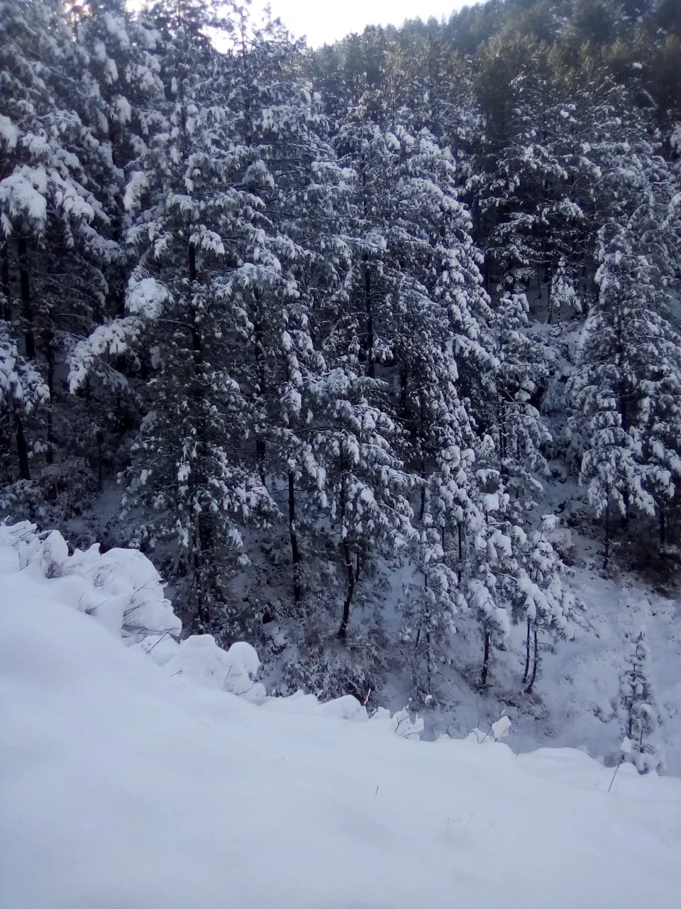 IMG-20201211-WA0015.jpg