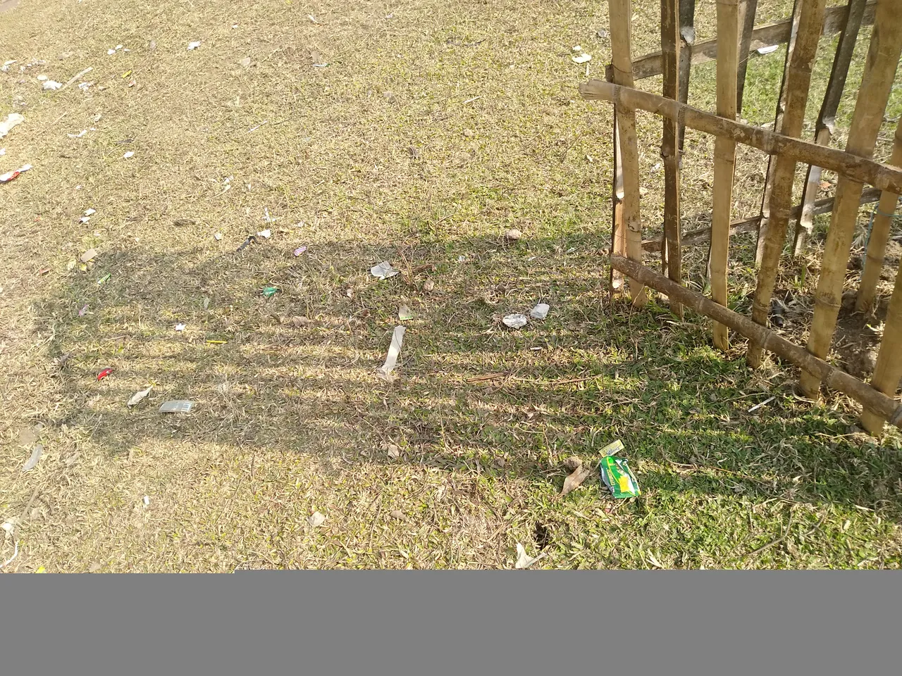IMG_20220116_134357.jpg