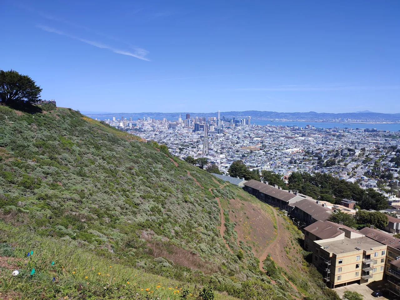 IMG_20230409_134513.jpg