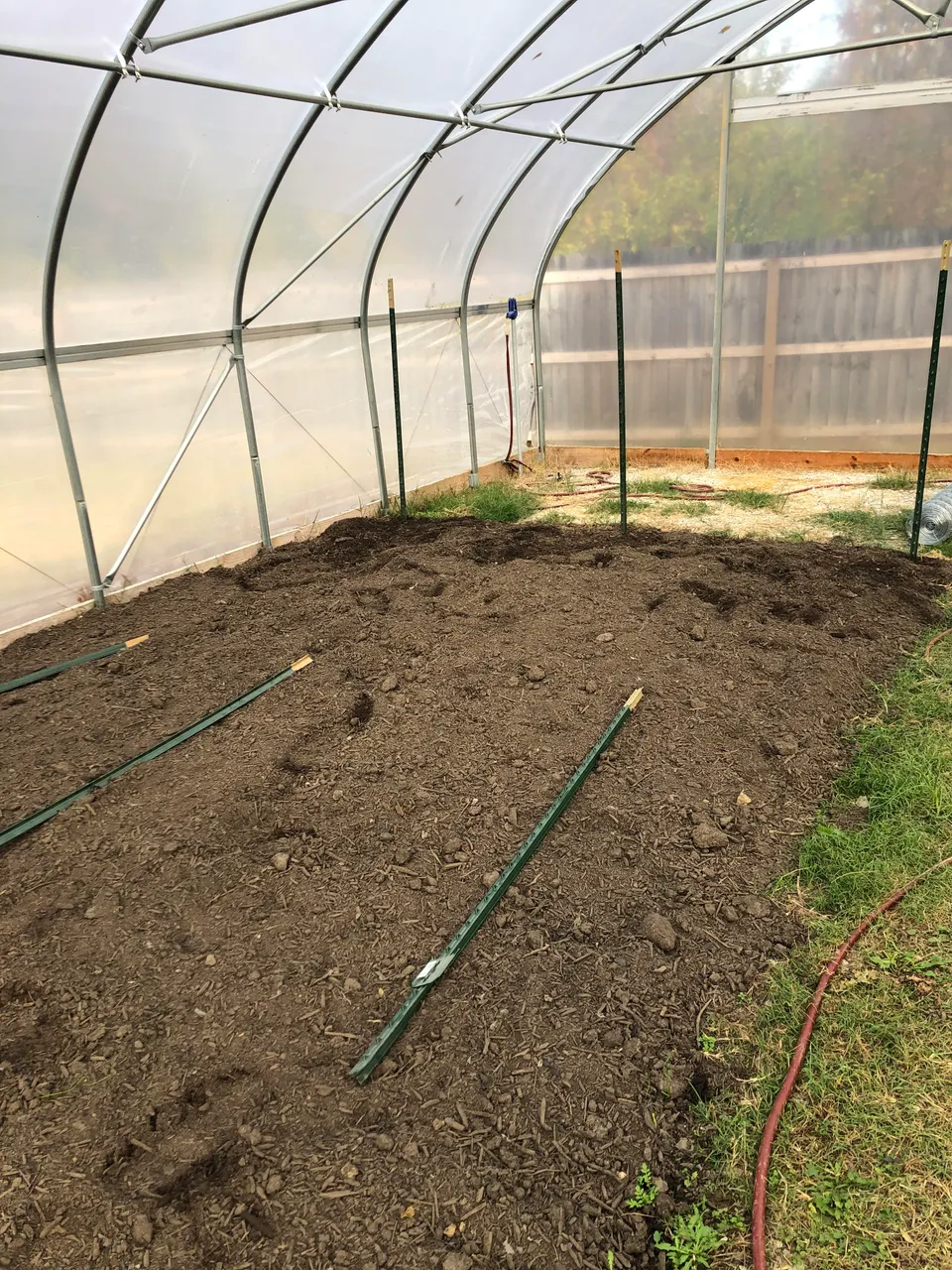 GreenHouse Inside.jpg