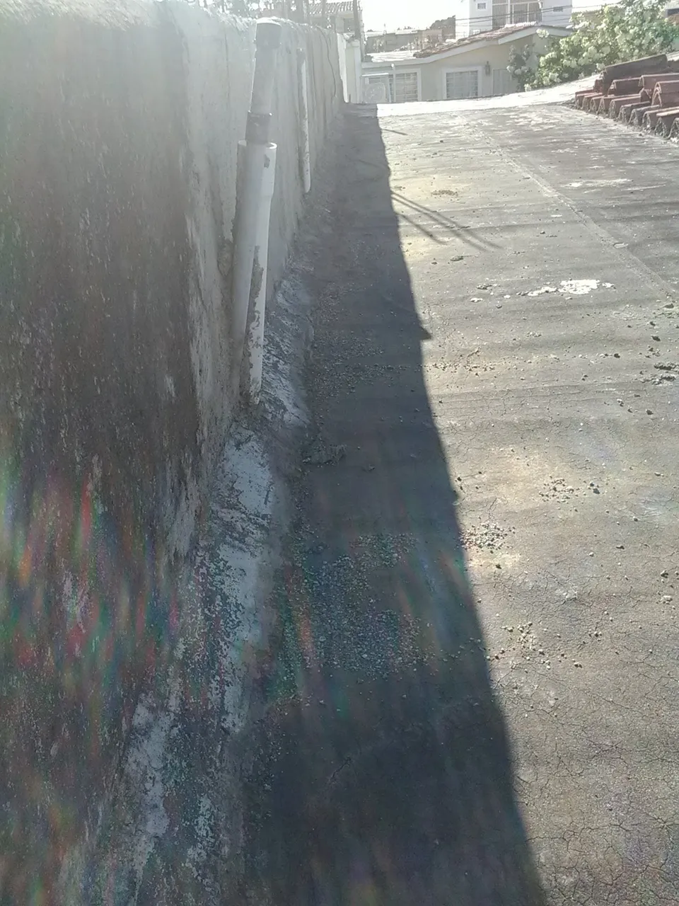 IMG_20201026_081425.jpg