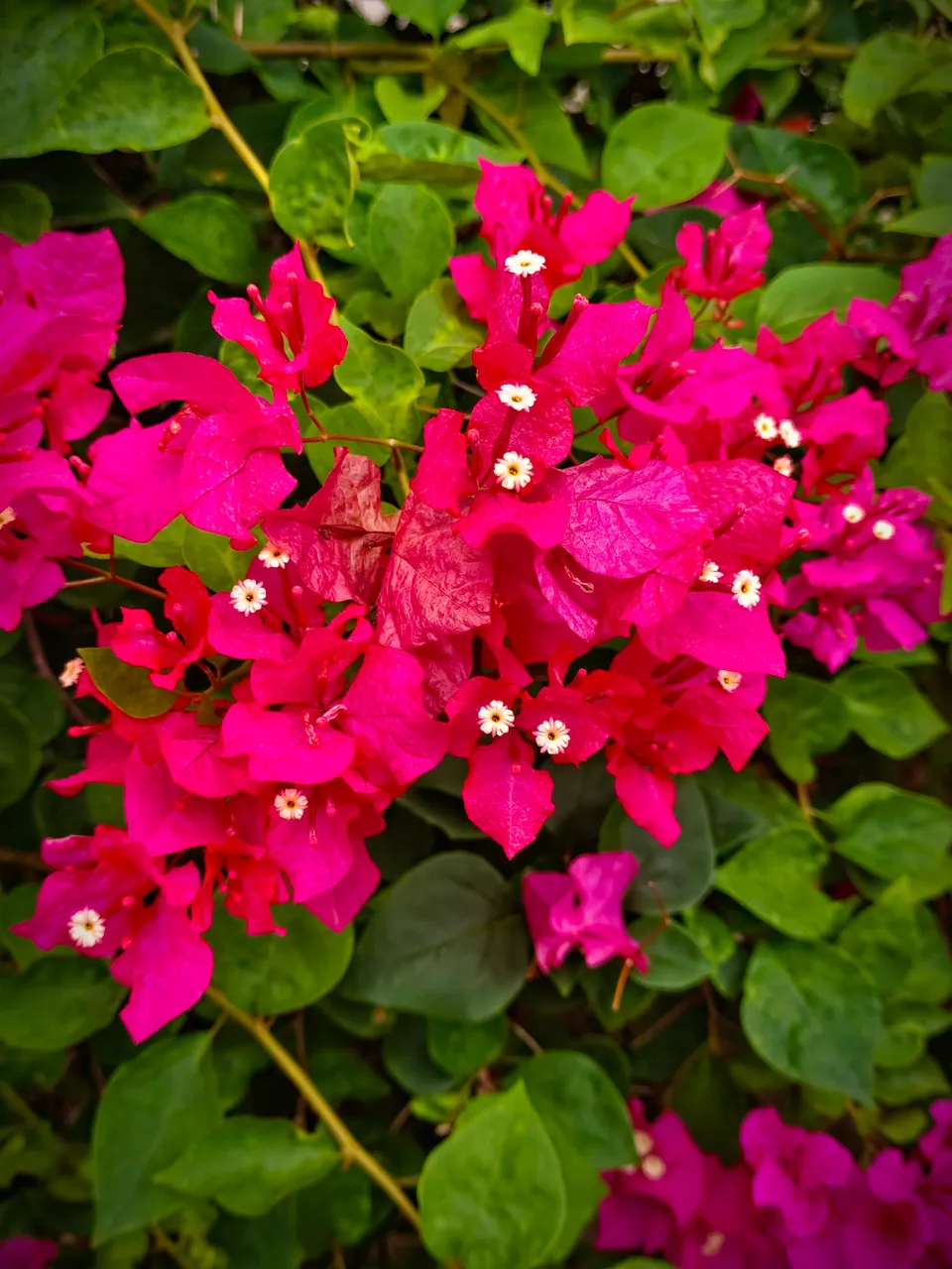 IMG_20250308_020104.jpg