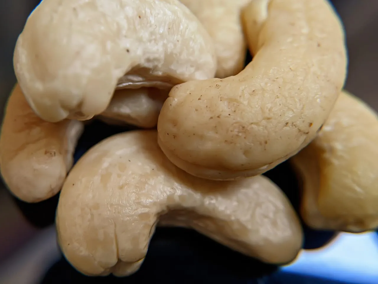 cashew nut (5).jpeg