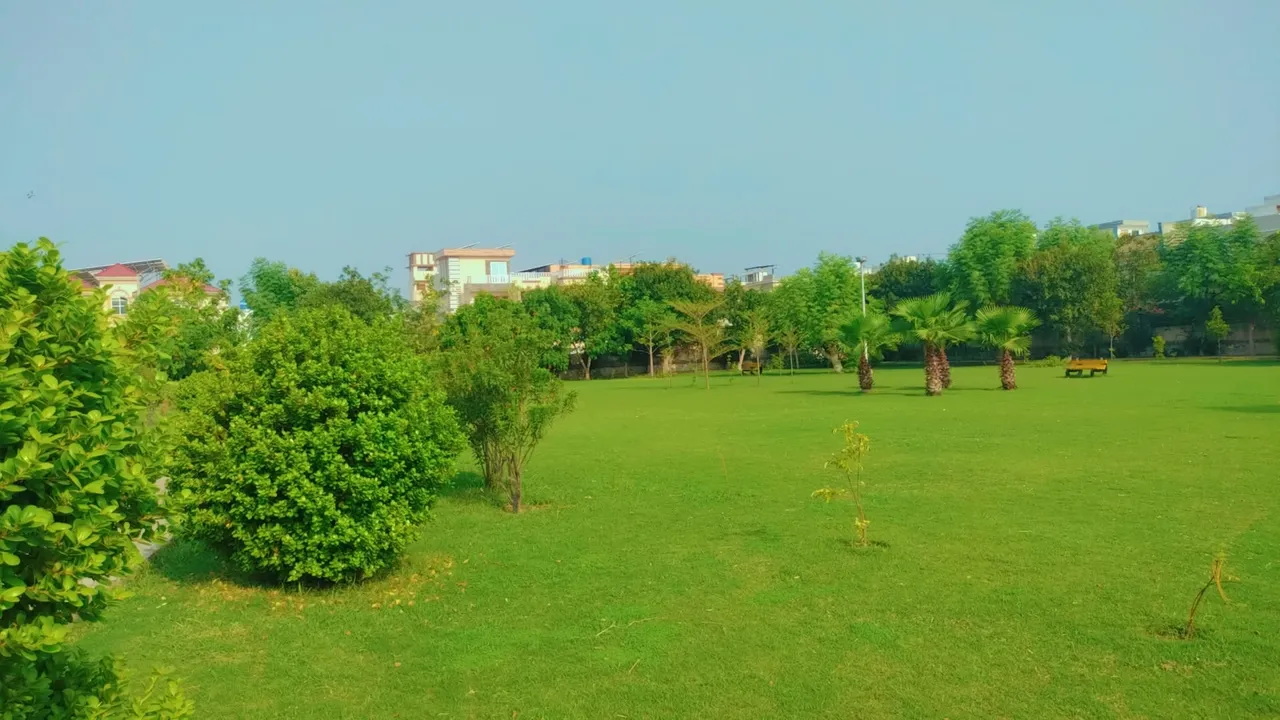 IMG_20250803_062250.jpg