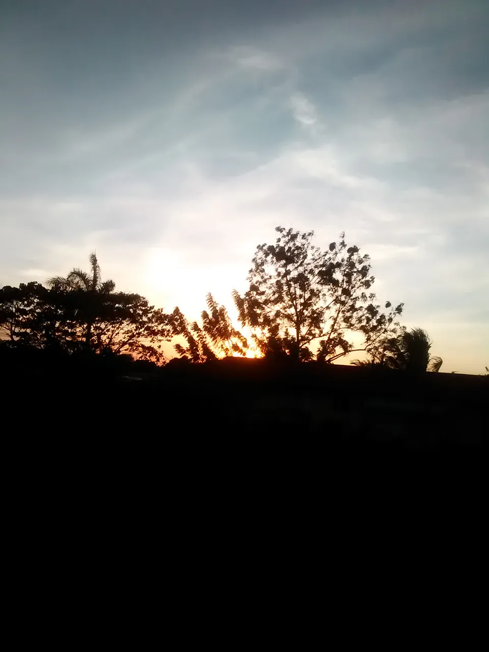 IMG_20210217_182746.jpg