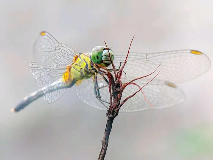 PSX_20220118_173049.jpg