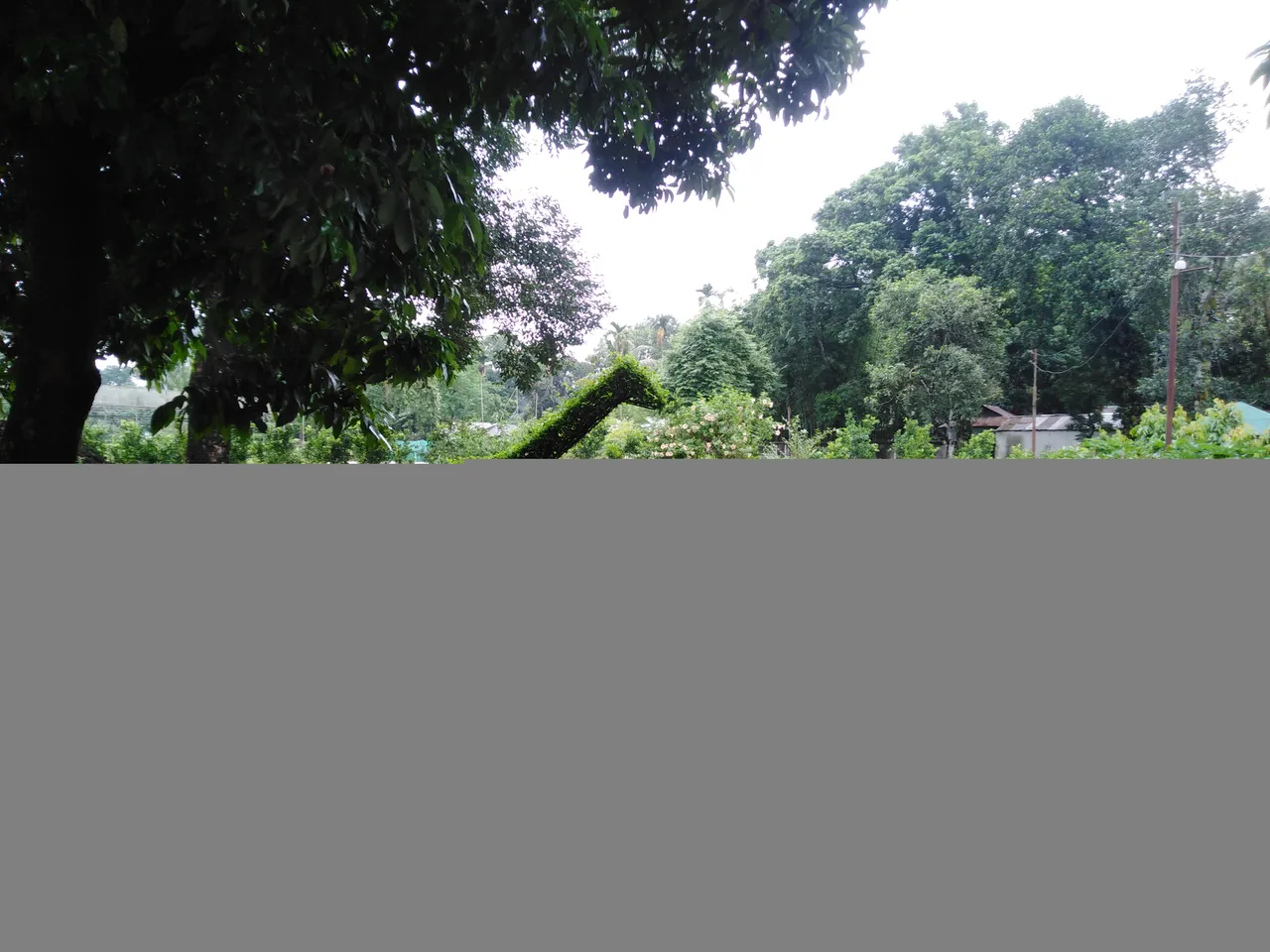 IMG_20230703_152136.jpg