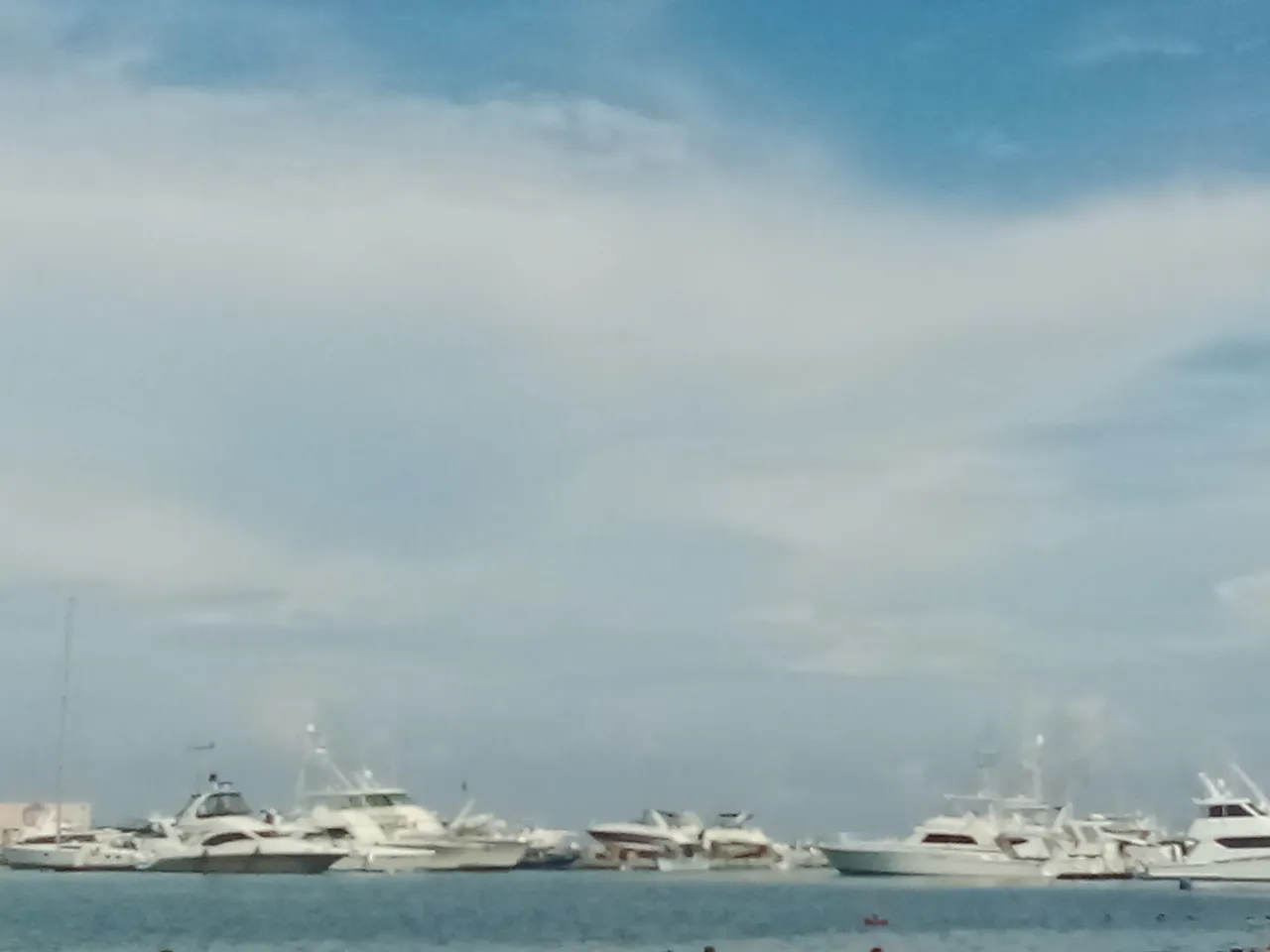 IMG_20241124_093052.jpg
