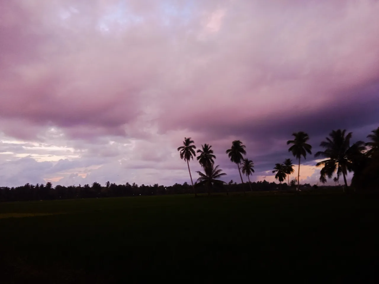 IMG_20220220_194830.jpg