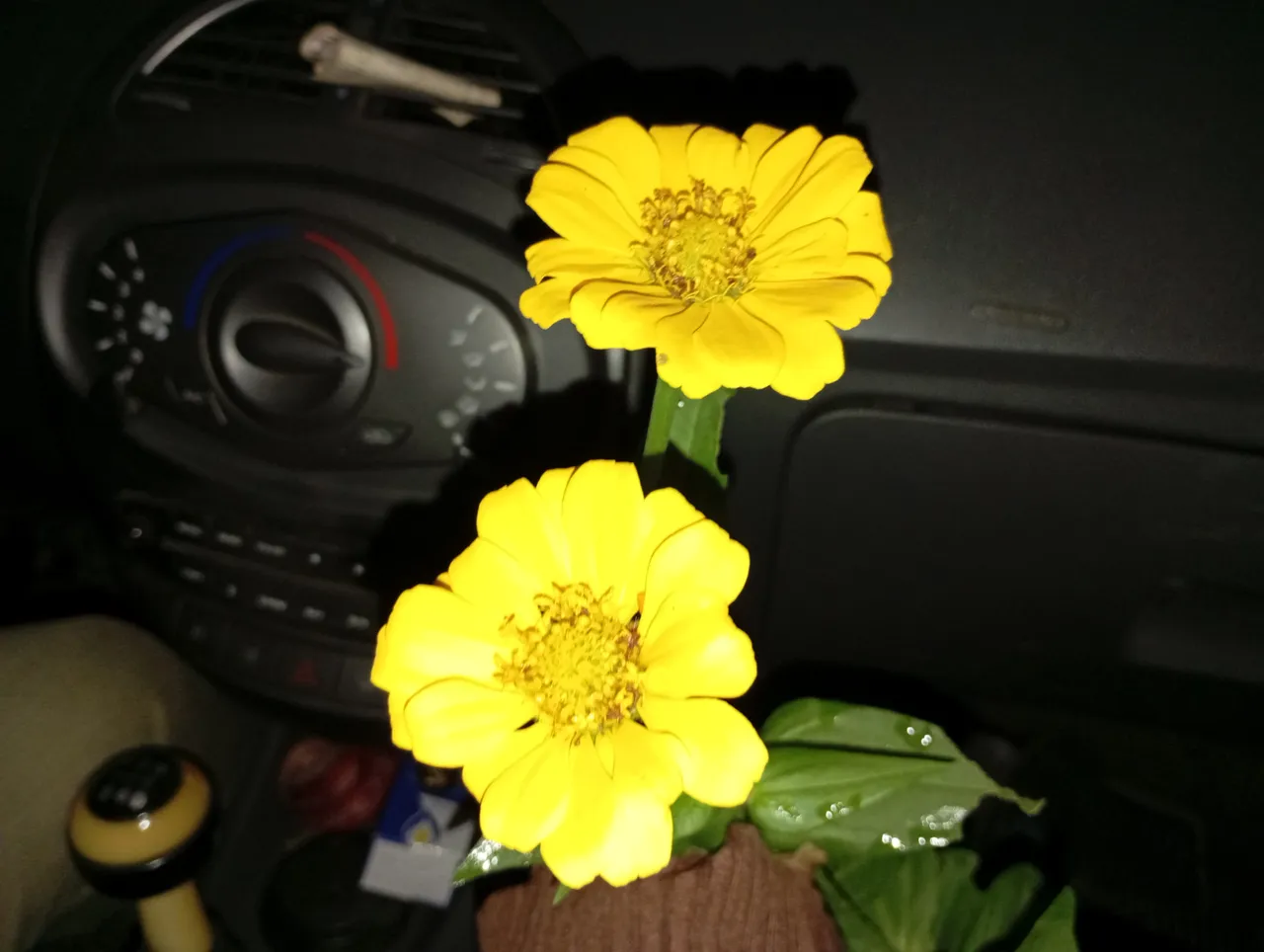 IMG_20250730_055634.jpg