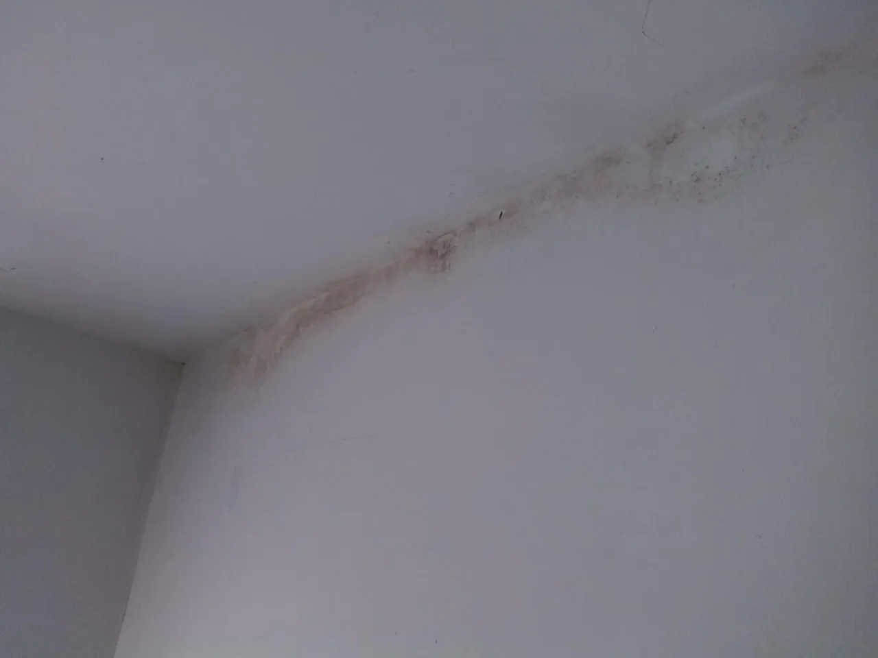 IMG_20201026_115959.jpg
