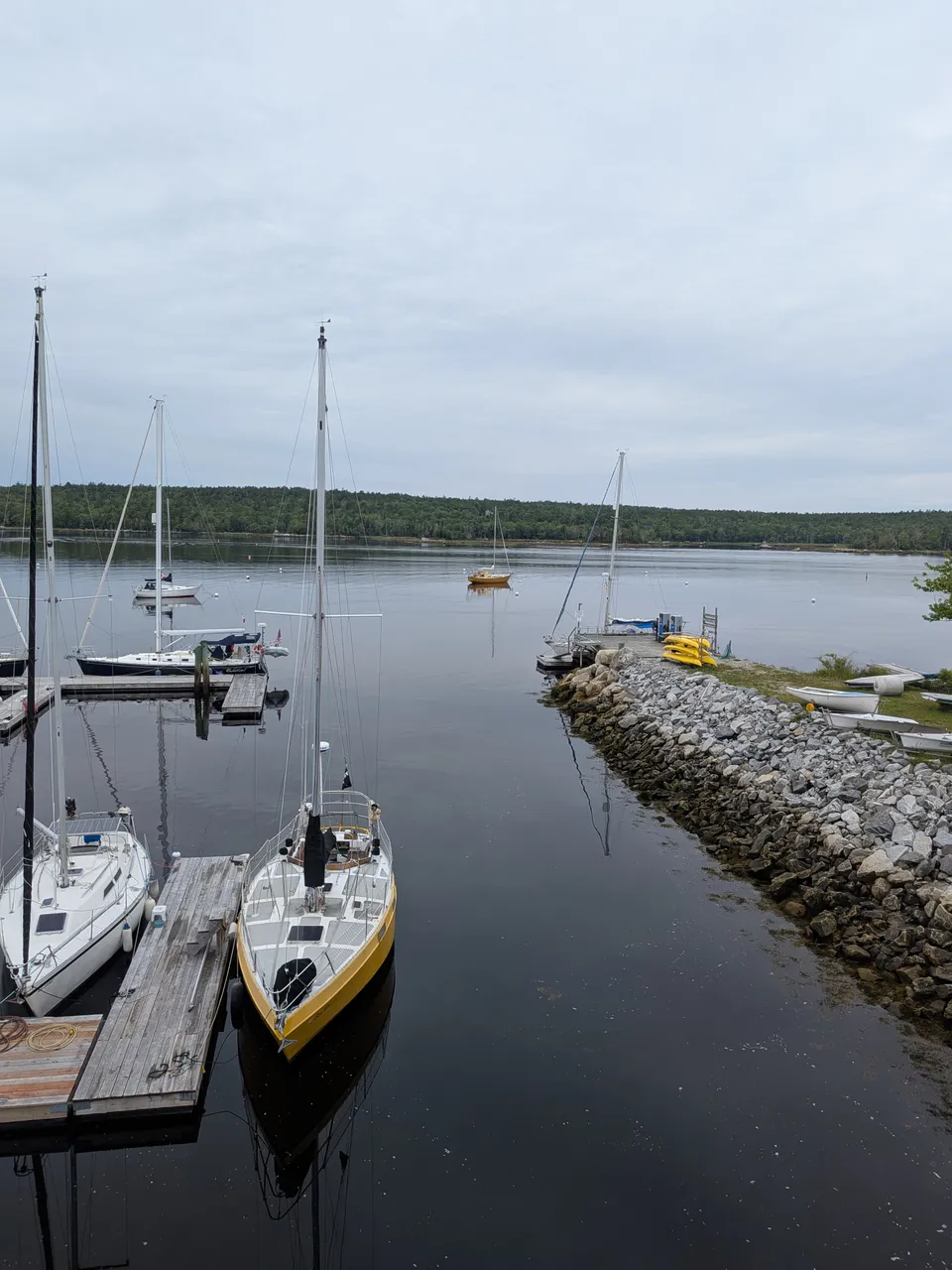makina-in-shelburne.jpg