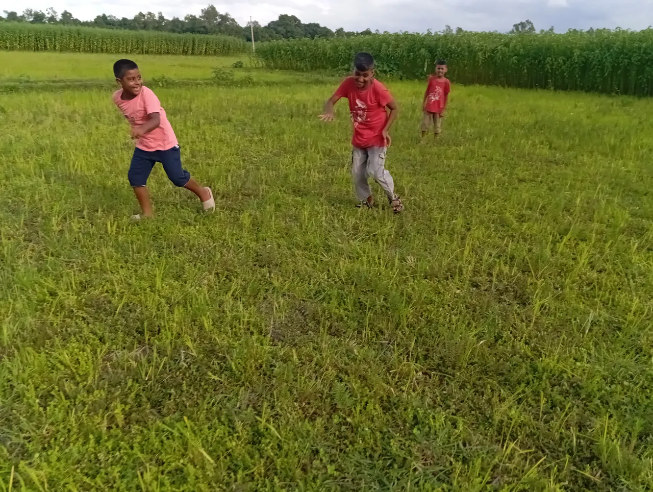 IMG_20250725_164254.jpg