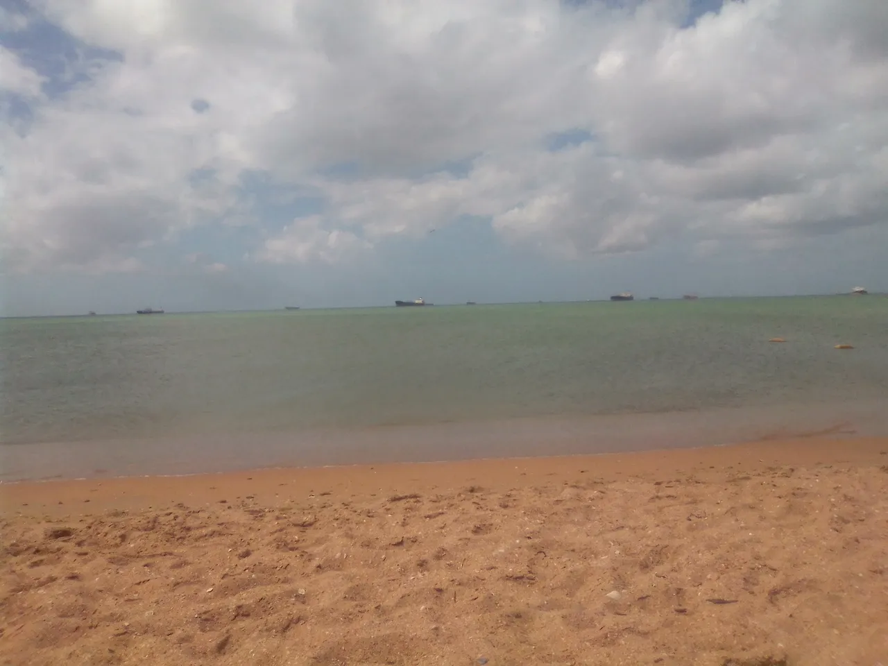 IMG_20220122_123708.jpg
