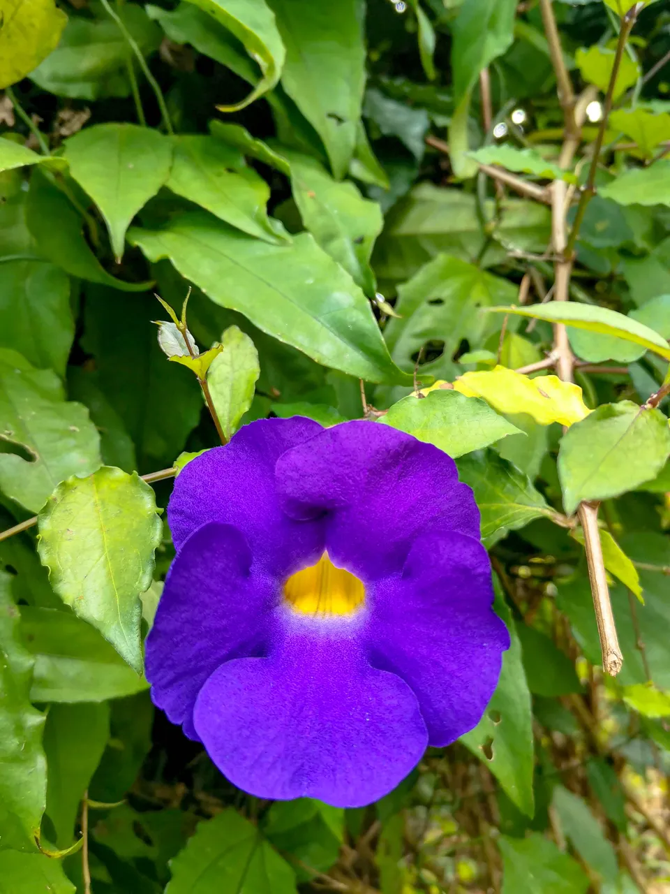 IMG_20210509_084339.jpg