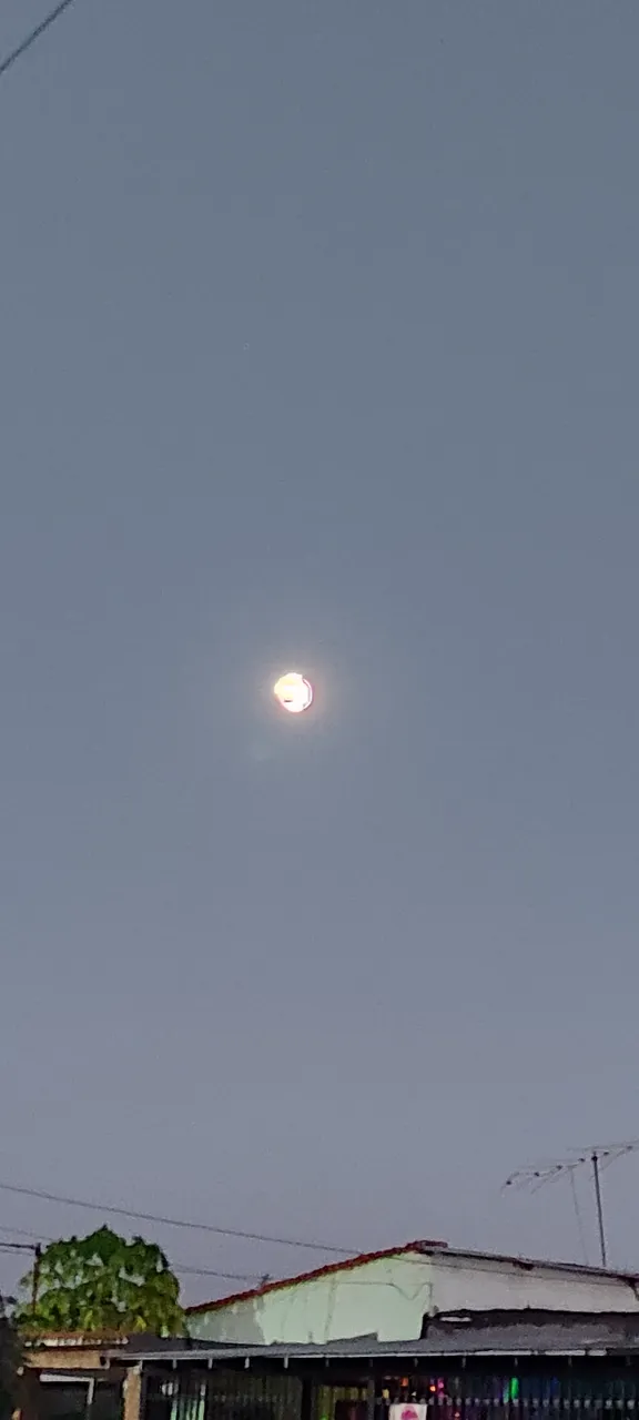 IMG_20250112_185920.jpg