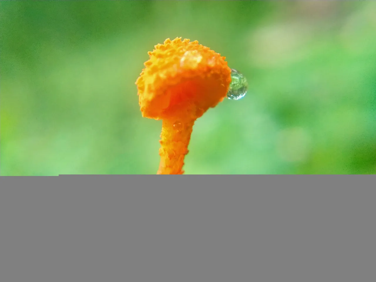 IMG_20220109_201349.jpg
