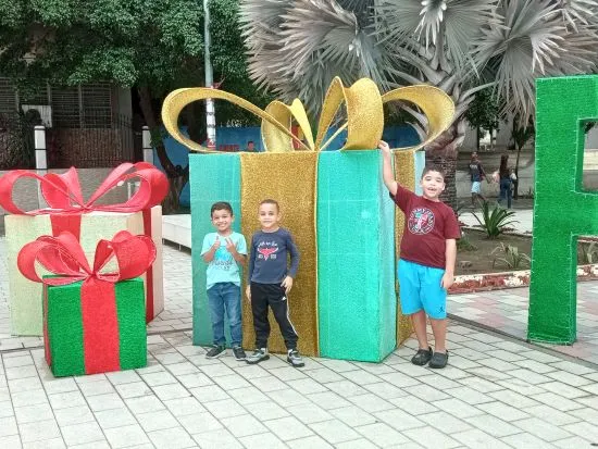 IMG_20231103_164528.jpg