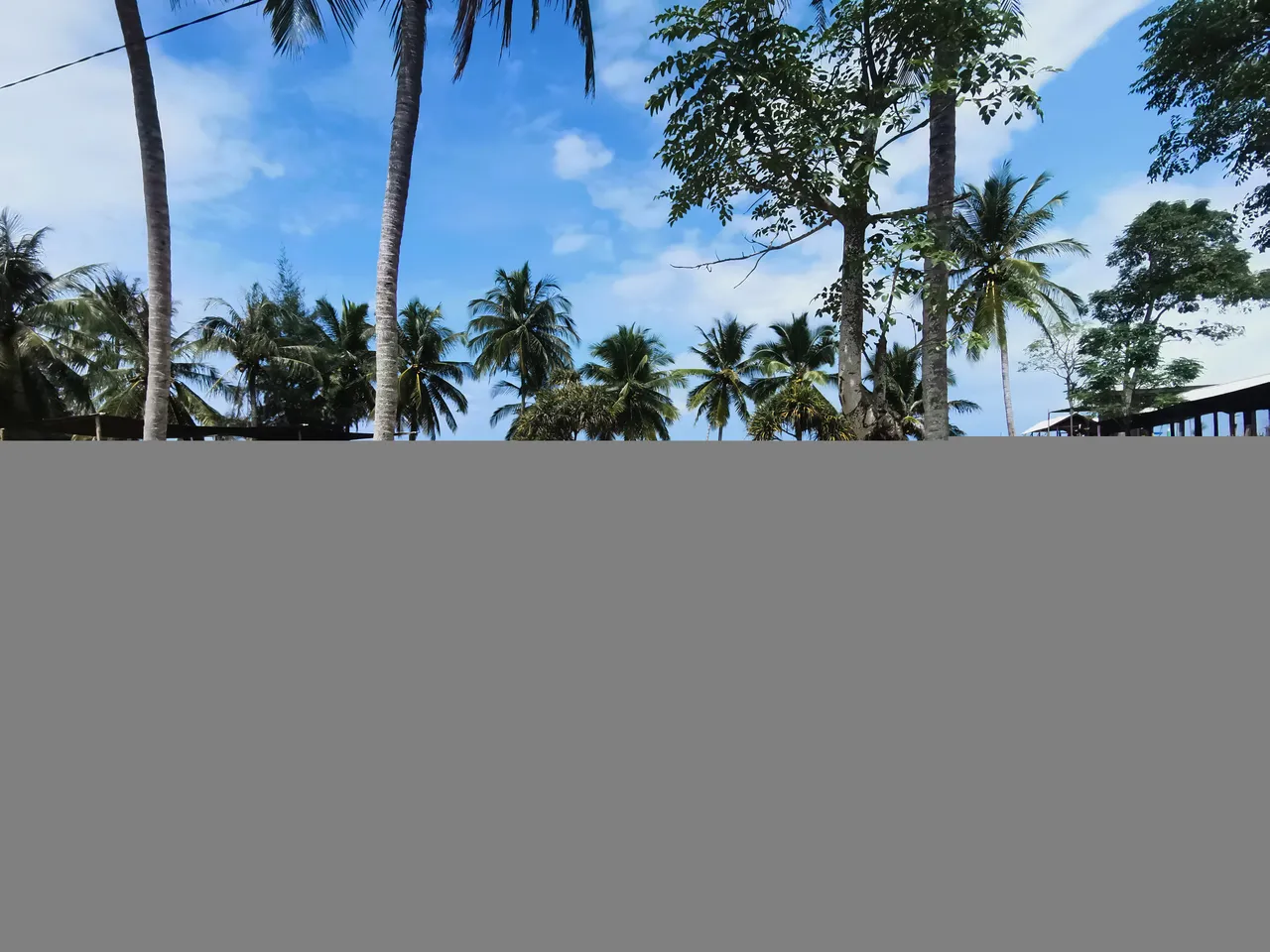IMG_20220118_115159.jpg