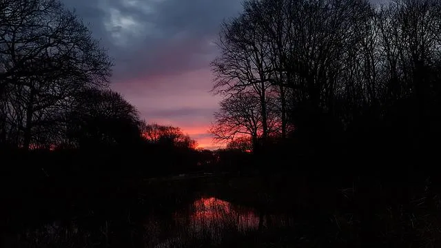 sunrise-2000942_640.jpg