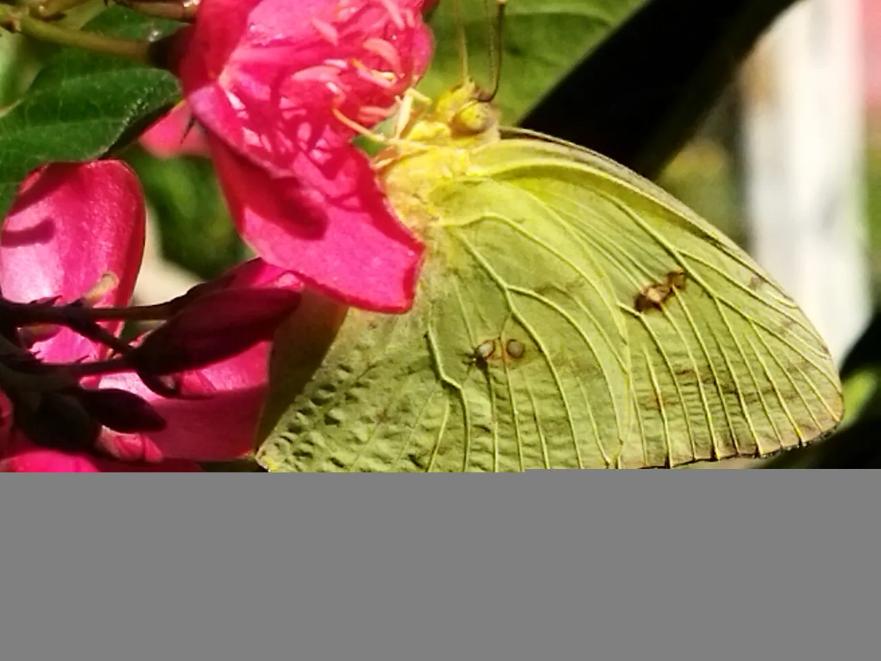 IMG_20210926_153135.jpg