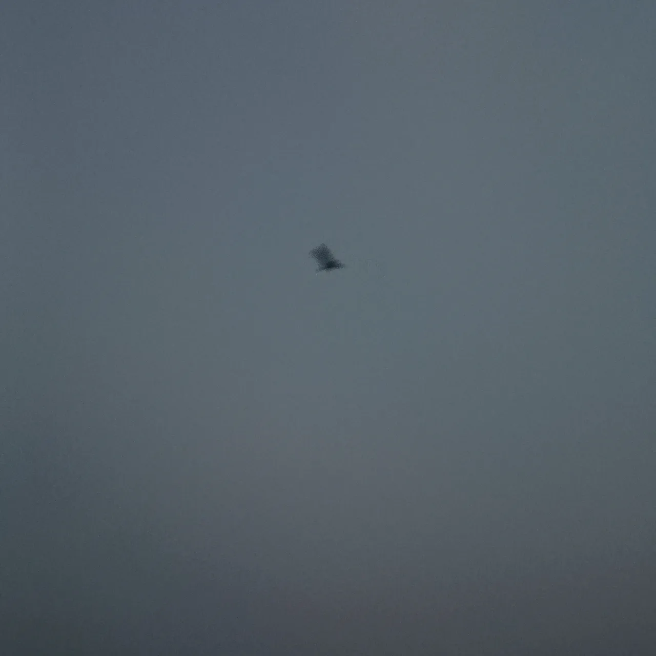 IMG_20250508_185912.jpg