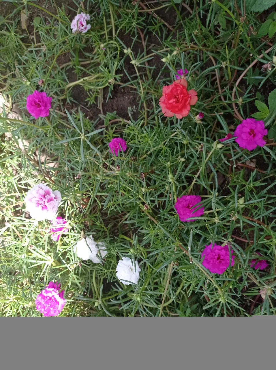 IMG_20201014_103946.jpg