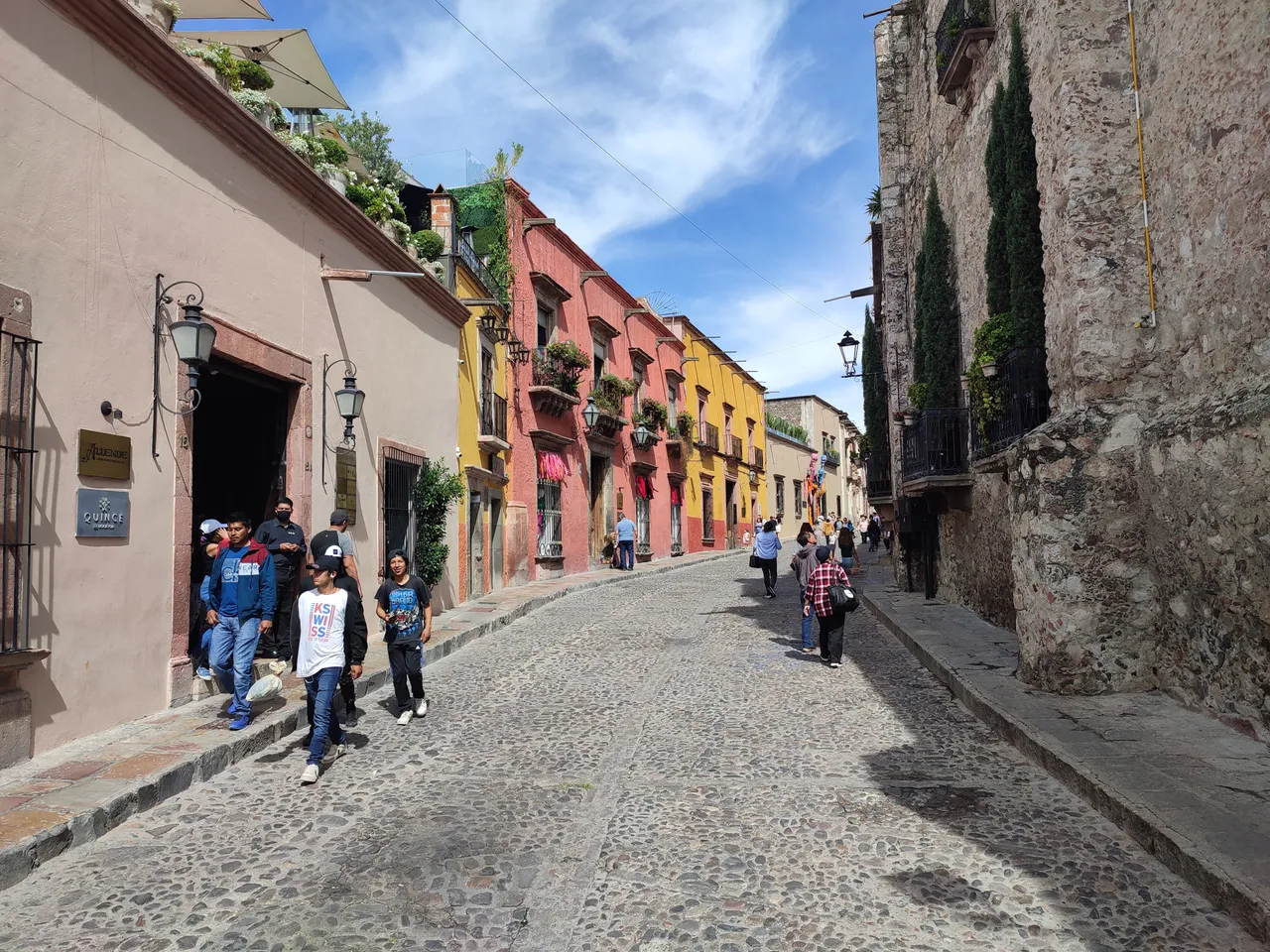 IMG_20221023_120010.jpg