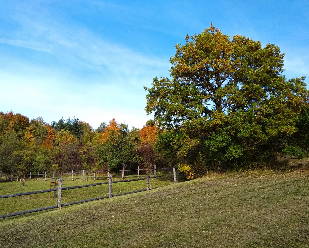 IMG_20231023_153529.jpg