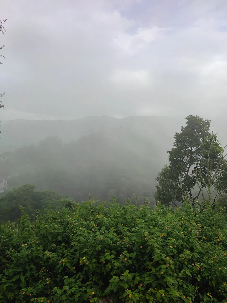IMG_20210821_151343.jpg
