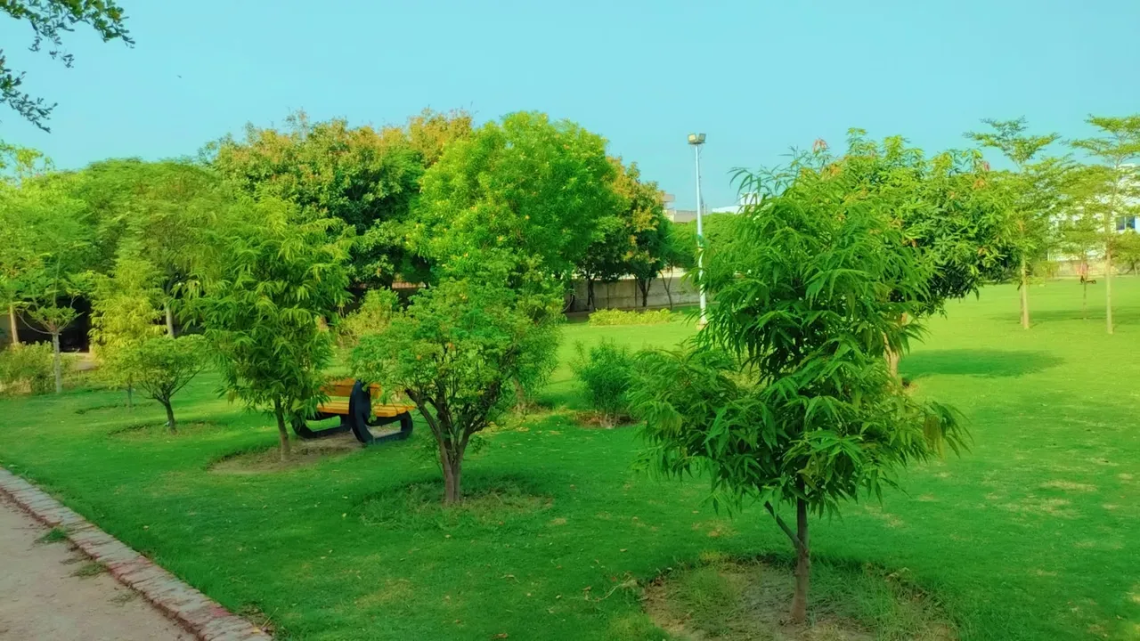 IMG_20250705_061409.jpg