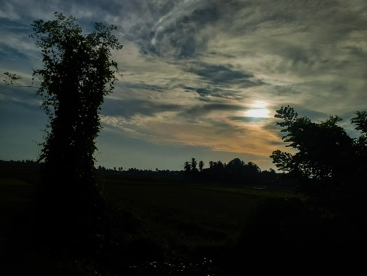 PSX_20250805_102726.jpg