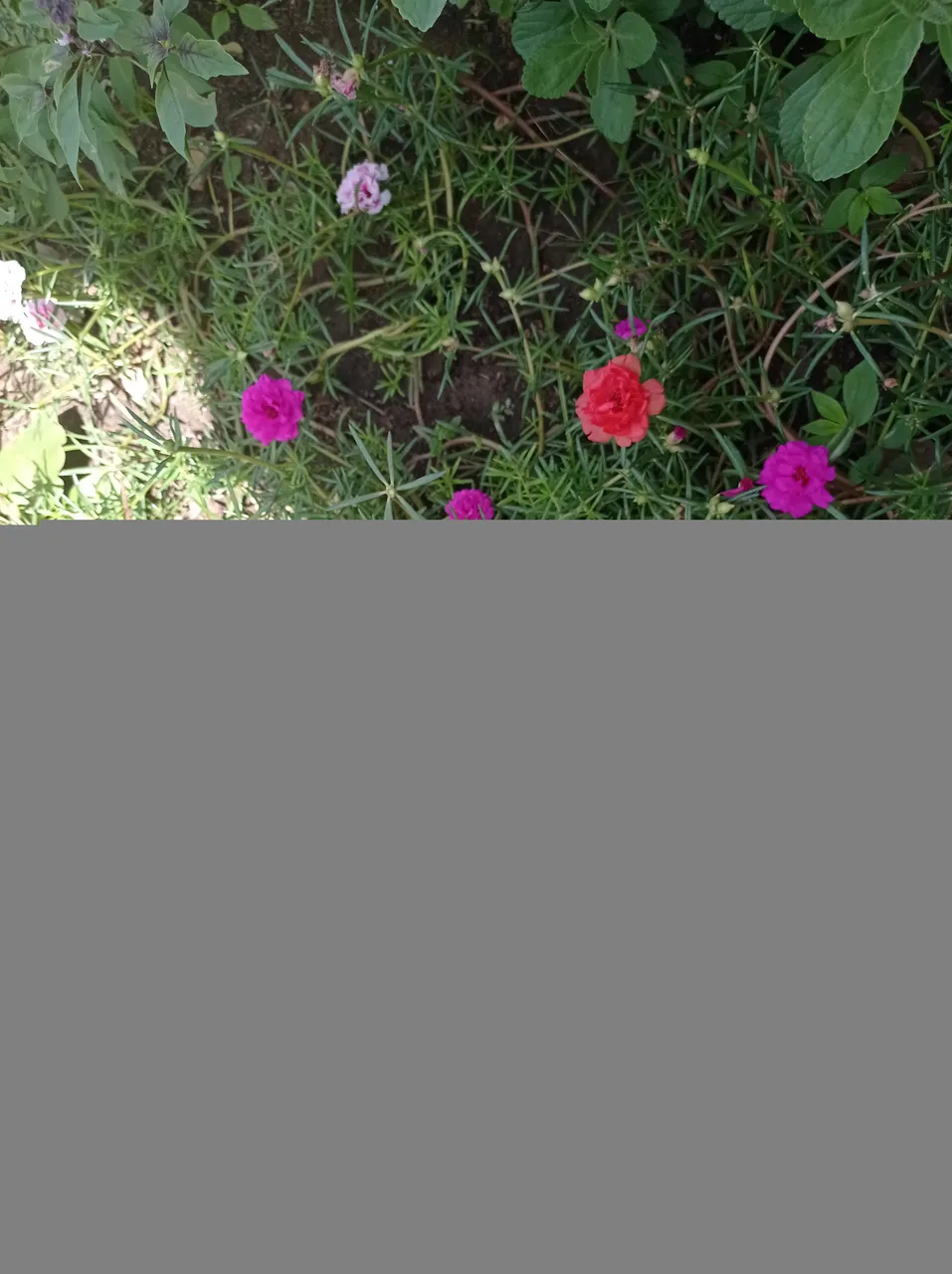 IMG_20201014_103942.jpg