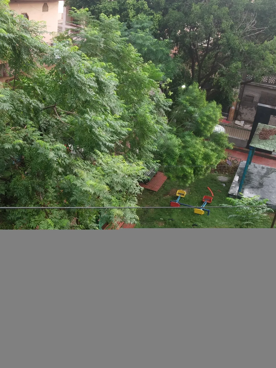 IMG_20200722_070010.jpg