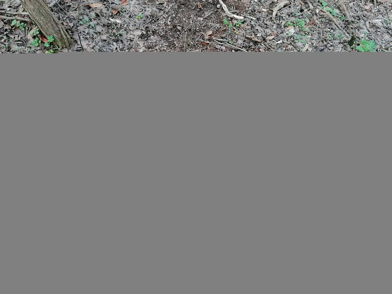 IMG_20210207_145233.jpg