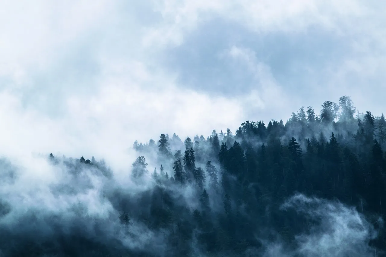 fog-g06d2bd949_1280.jpg